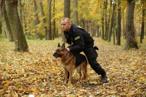 Zostań jednym z nas – przewodnik psa służbowego