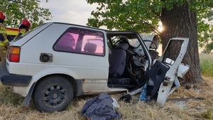 Jechał za szybko i uderzył w przydrożne drzewo