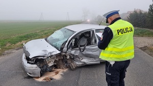 Groźne zdarzenie drogowe w Zębowicach. Policja apeluje do kierowców o ostrożność!