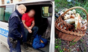 Szczęśliwy finał poszukiwań zaginionego grzybiarza