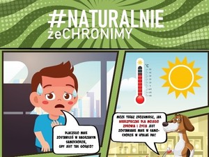 Długi sierpniowy weekend zapowiada się upalnie. W upały szczególnie uważajmy na dzieci, osoby starsze i zwierzęta!