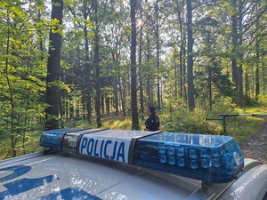 Sezon na grzybobranie trwa!
