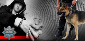 Sześciu poszukiwanych zatrzymali jaworscy policjanci w ramach Akcji „Poszukiwany”